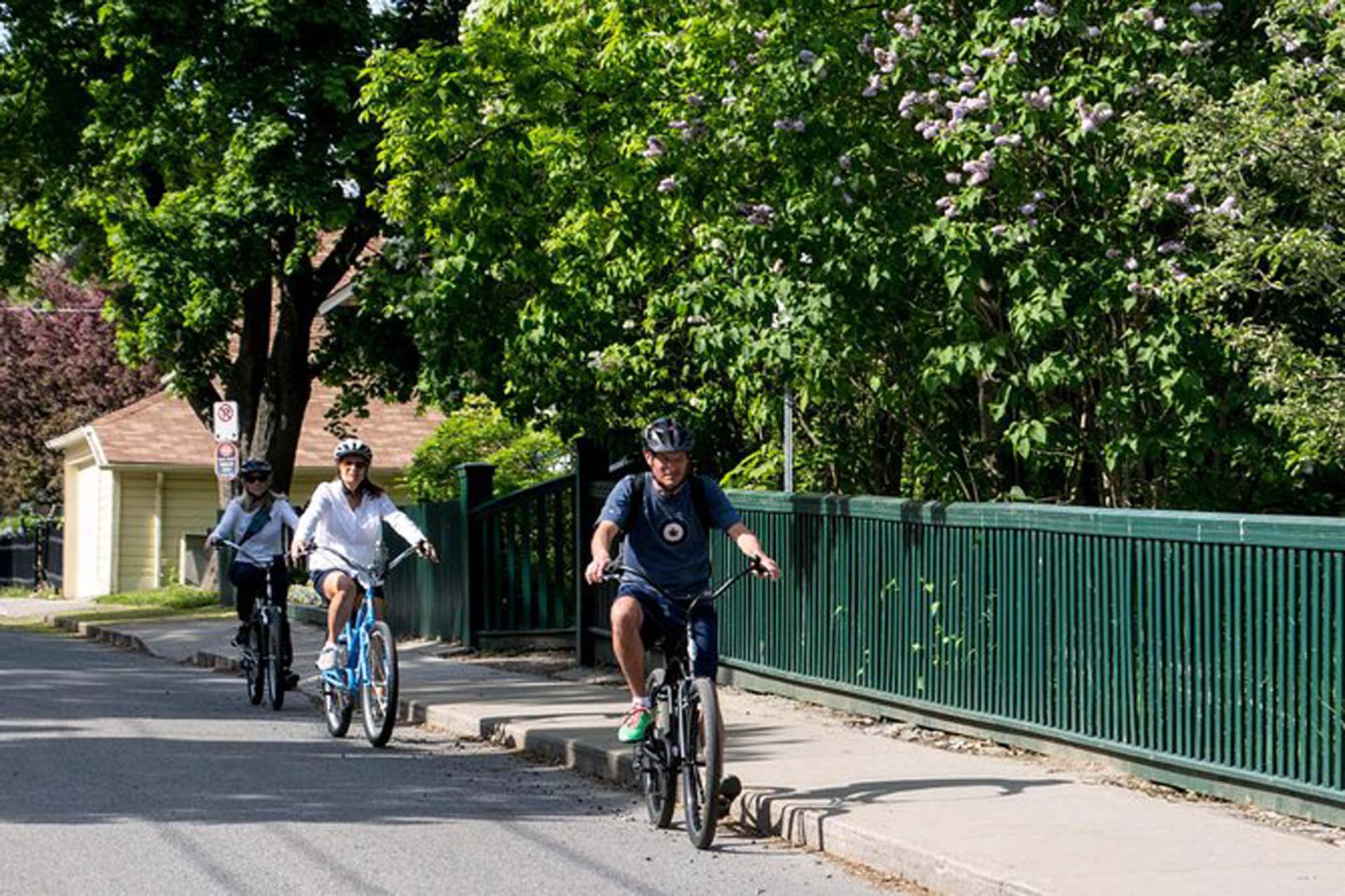 cycling tours kingston