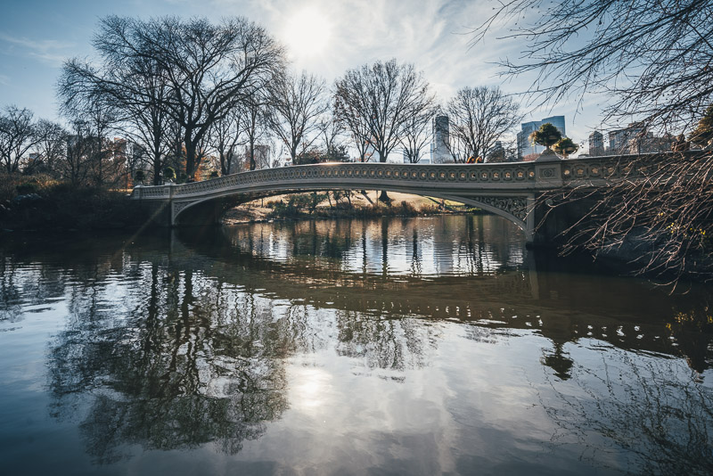 Central Park in the Summer