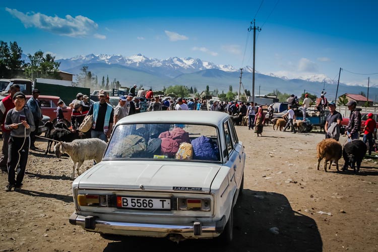 Kyrgyzstan tourism | animal market