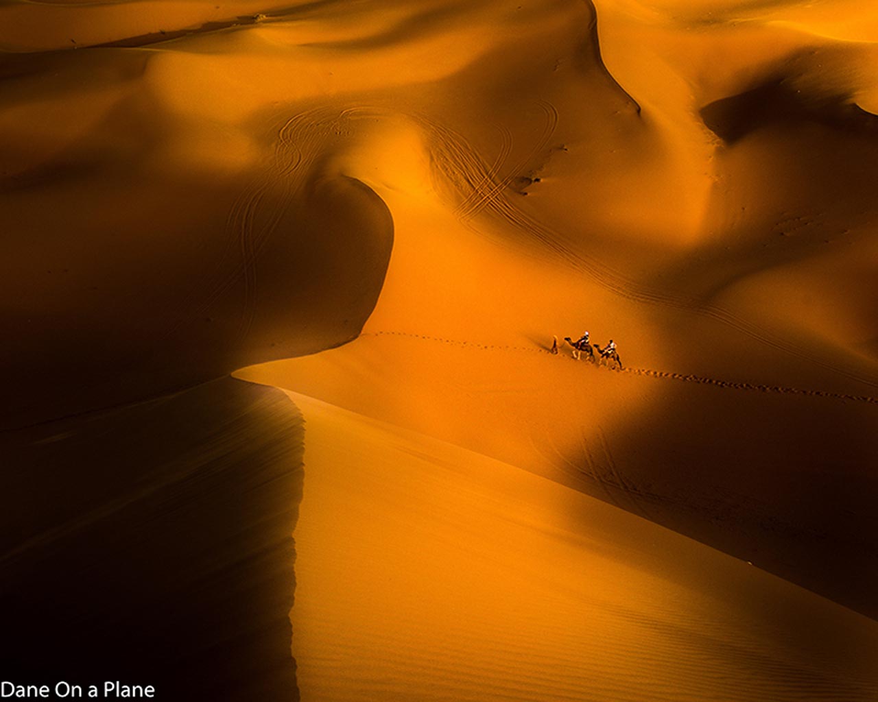 visit morocco photos sarah desert and camels