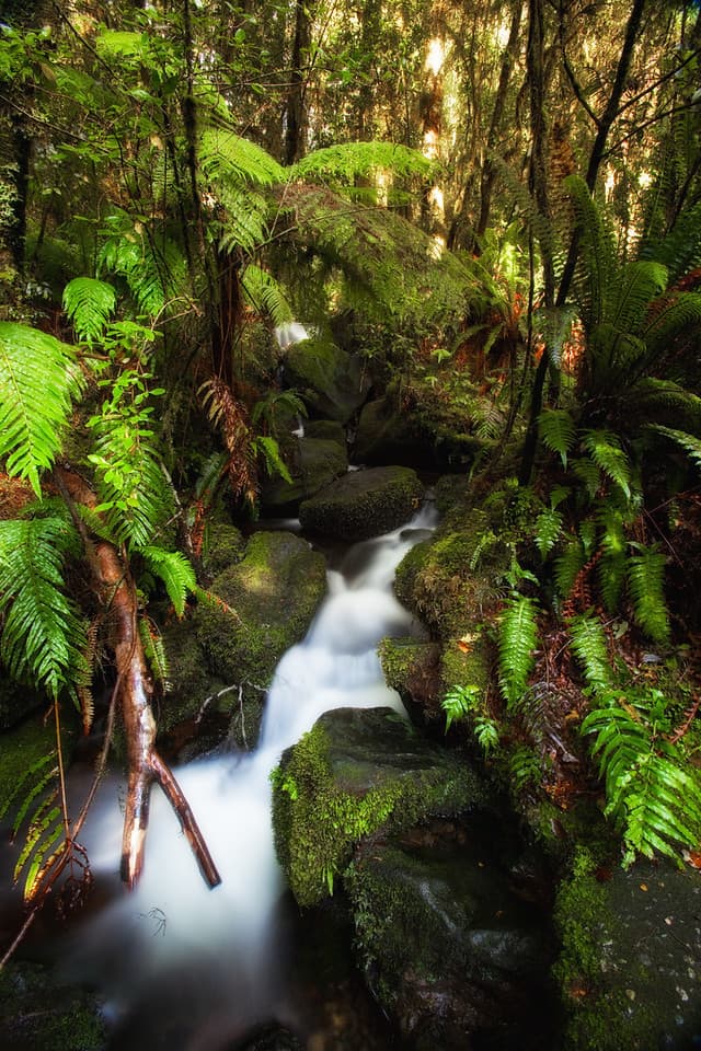 visit new zealand waterfall