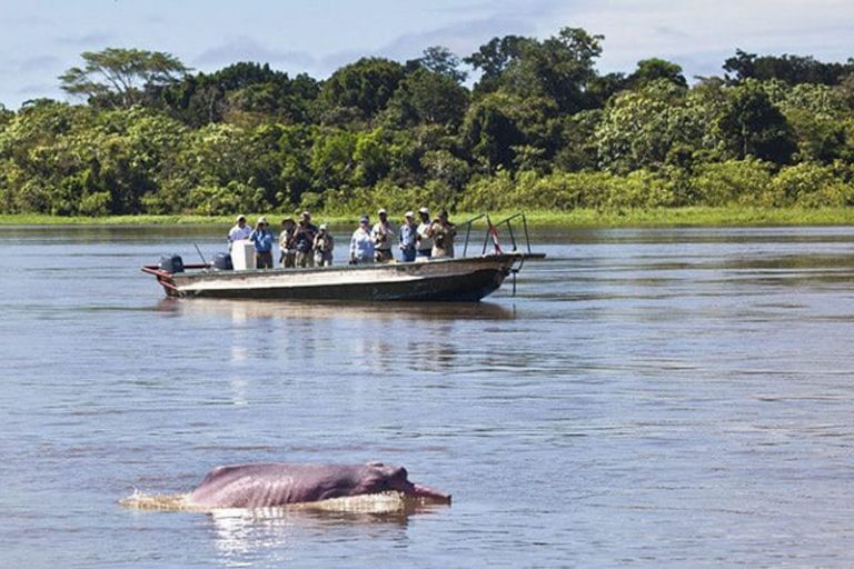 amazon river cruise reddit