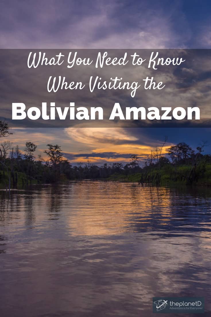 Everything You Need to Know About Visiting the Bolivian Amazon
