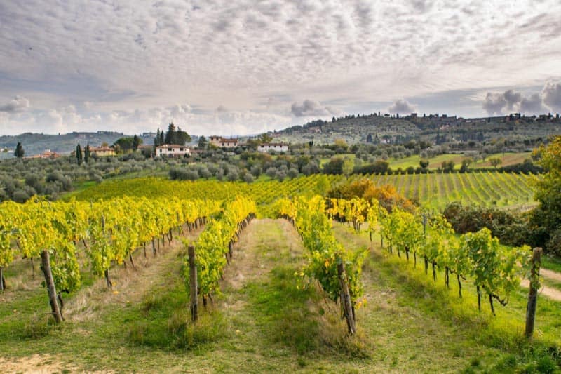 tuscany travel vineyards