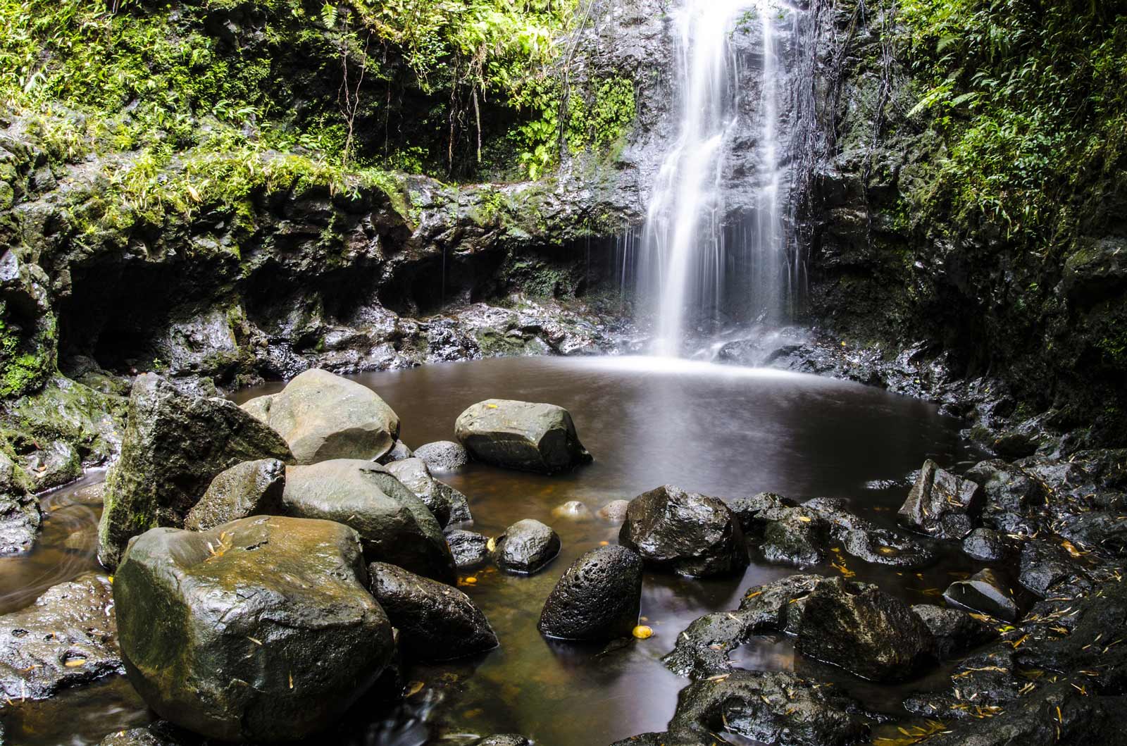 15 Best Hikes on Oahu for Incredible Views The D