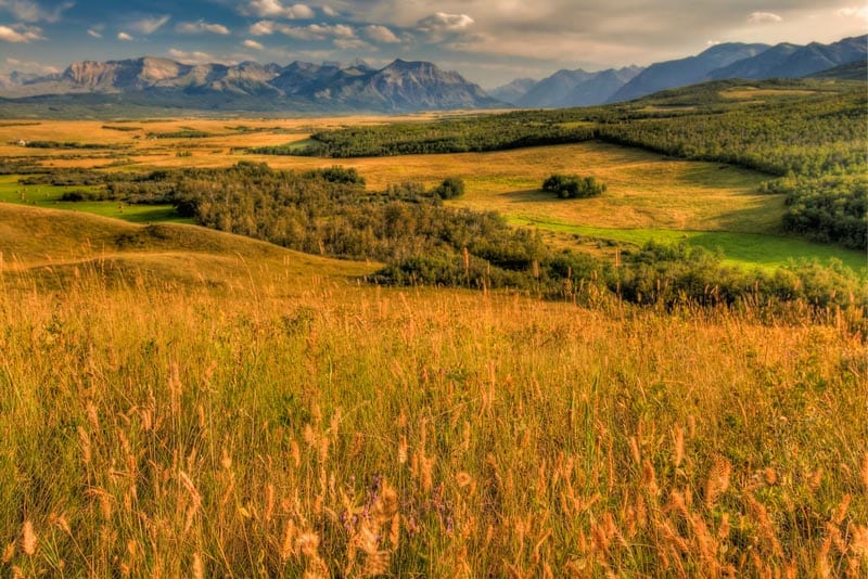 waterton lakes alberta