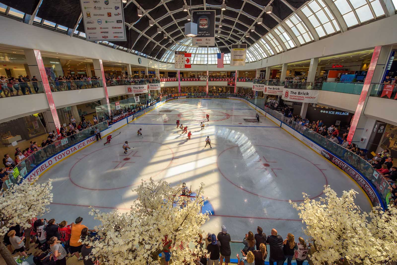 best things to do in edmonton west edmonton mall