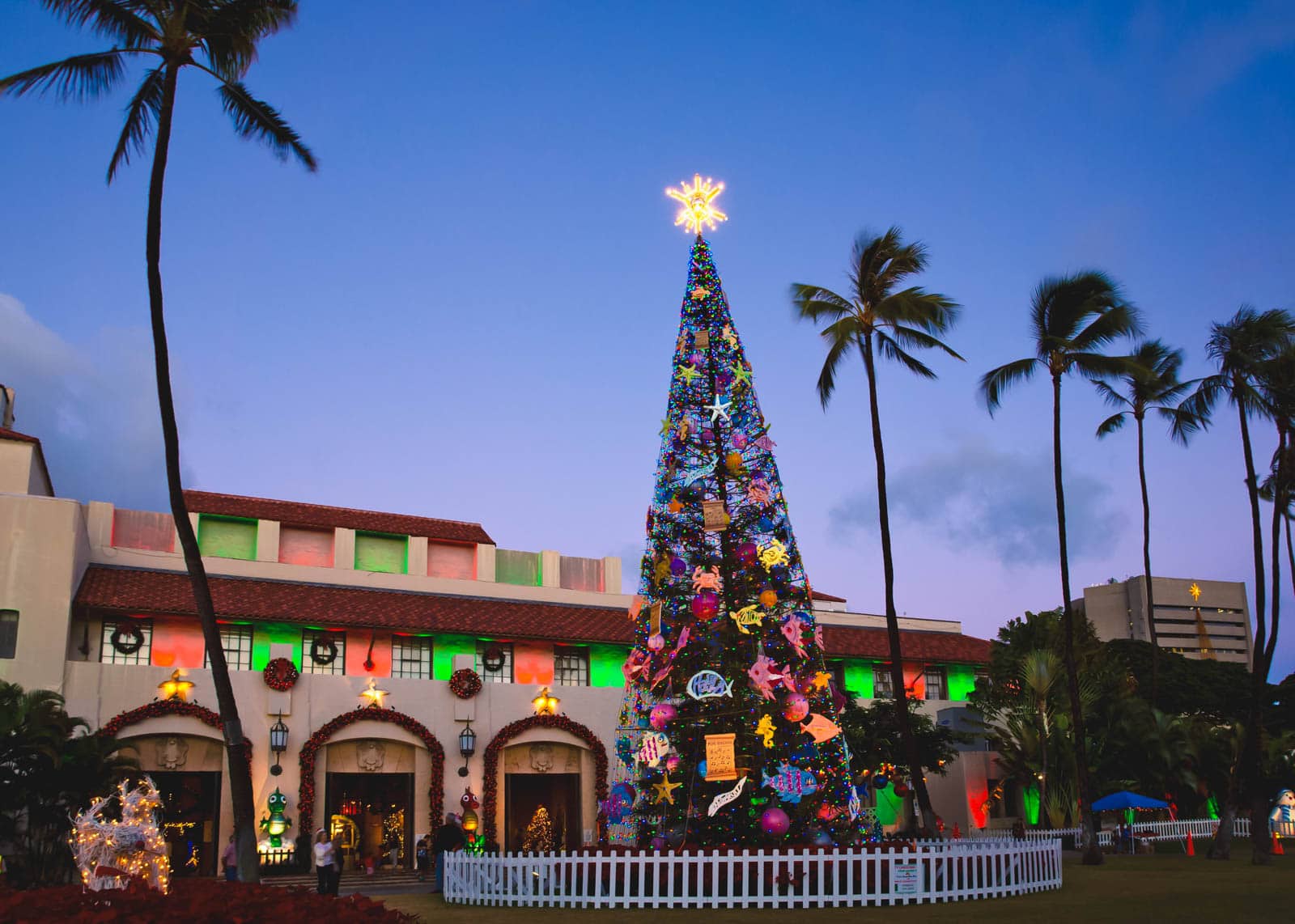 21 Best Places to Visit in December in the USA (2025 Edition) The famous christmas tree decorated for the Mele Kalikimaka celebration in Honolulu, a great place to go in December.