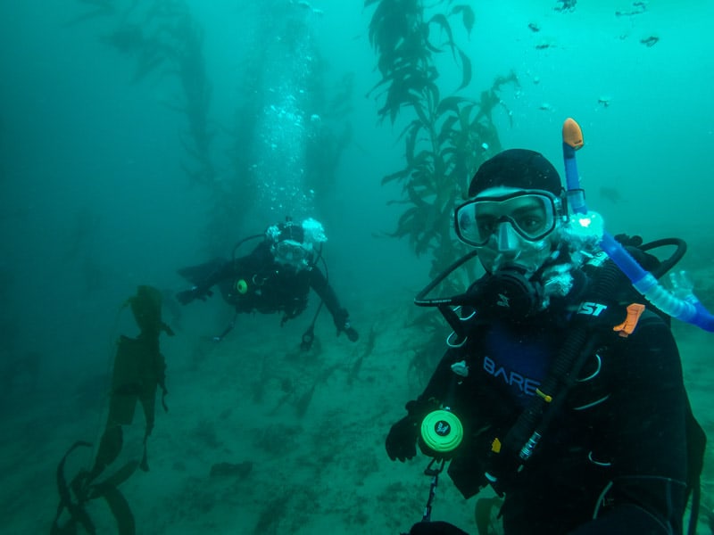 Where to stay in San Diego Scuba Diving