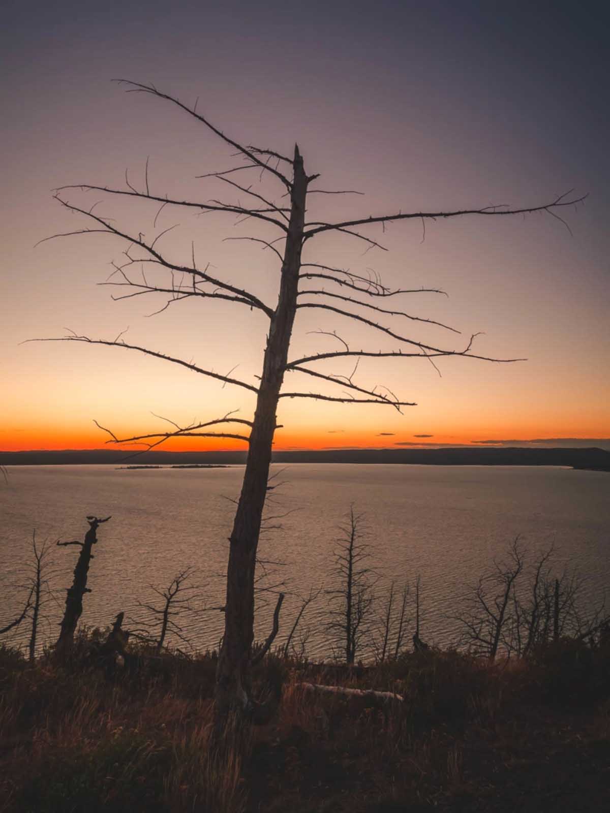 yellowstone national park where to stay near yellowstone lake