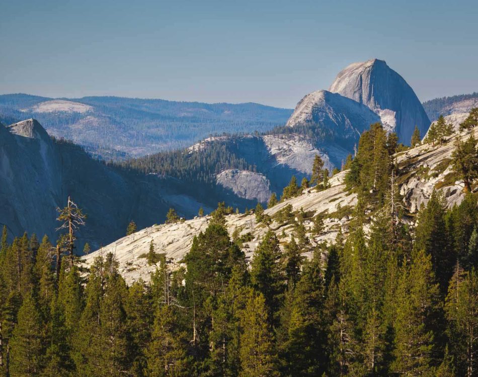 Where to Stay in Yosemite National Park