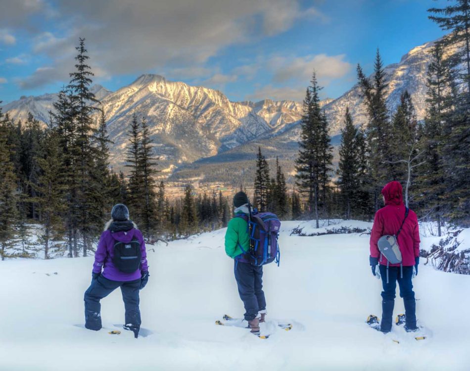 31 Awesome Activites to Enjoy in Winter in Alberta