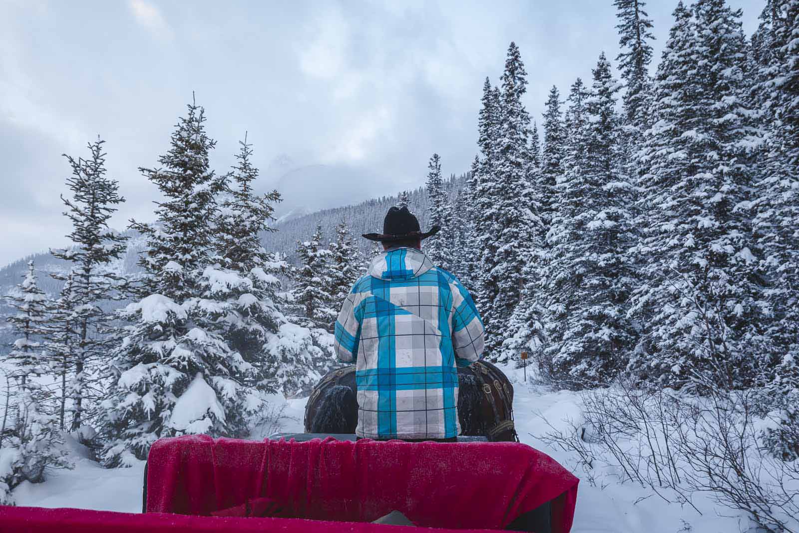 winter in alberta sleigh rides