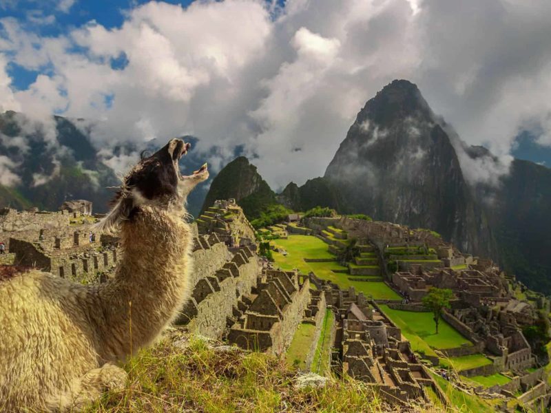 Ultimate Guide to the Wonders of the World: Ancient, Natural, and New