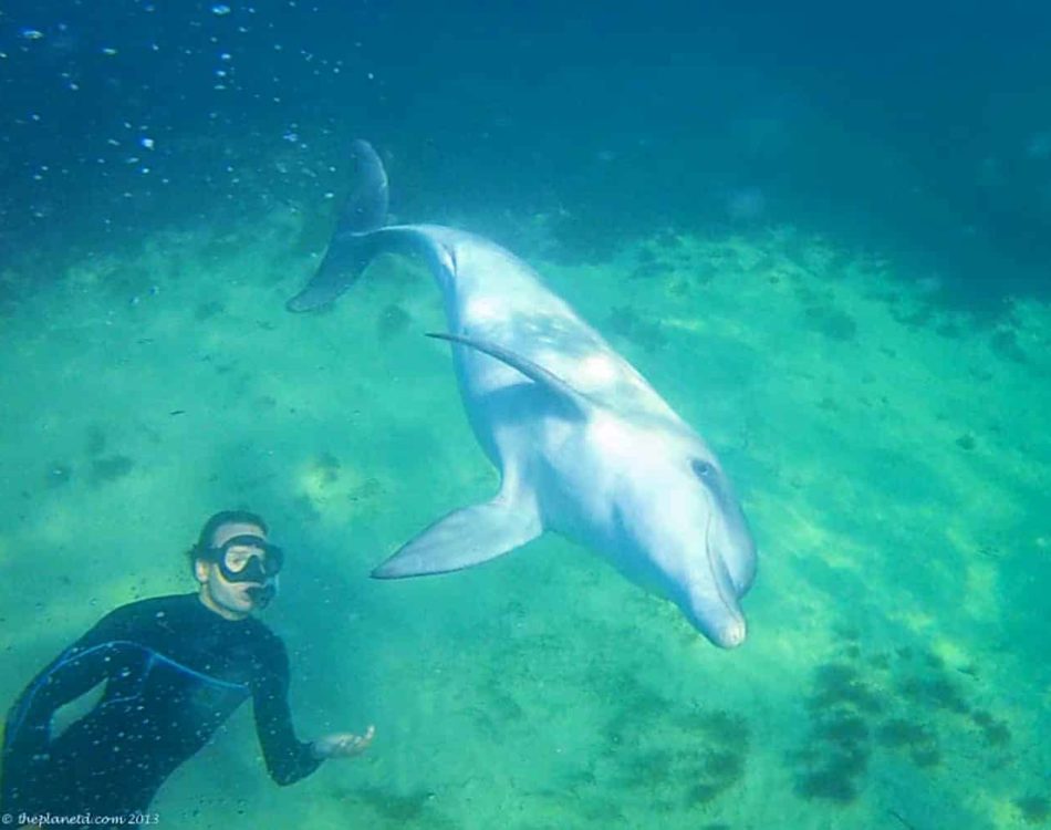 10 Ways to Help Save the Oceans – World Oceans Day and Beyond