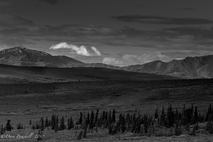 Wilderness-Alaska-Denali-National Park Wilderness-Alaska-Denali-National Park